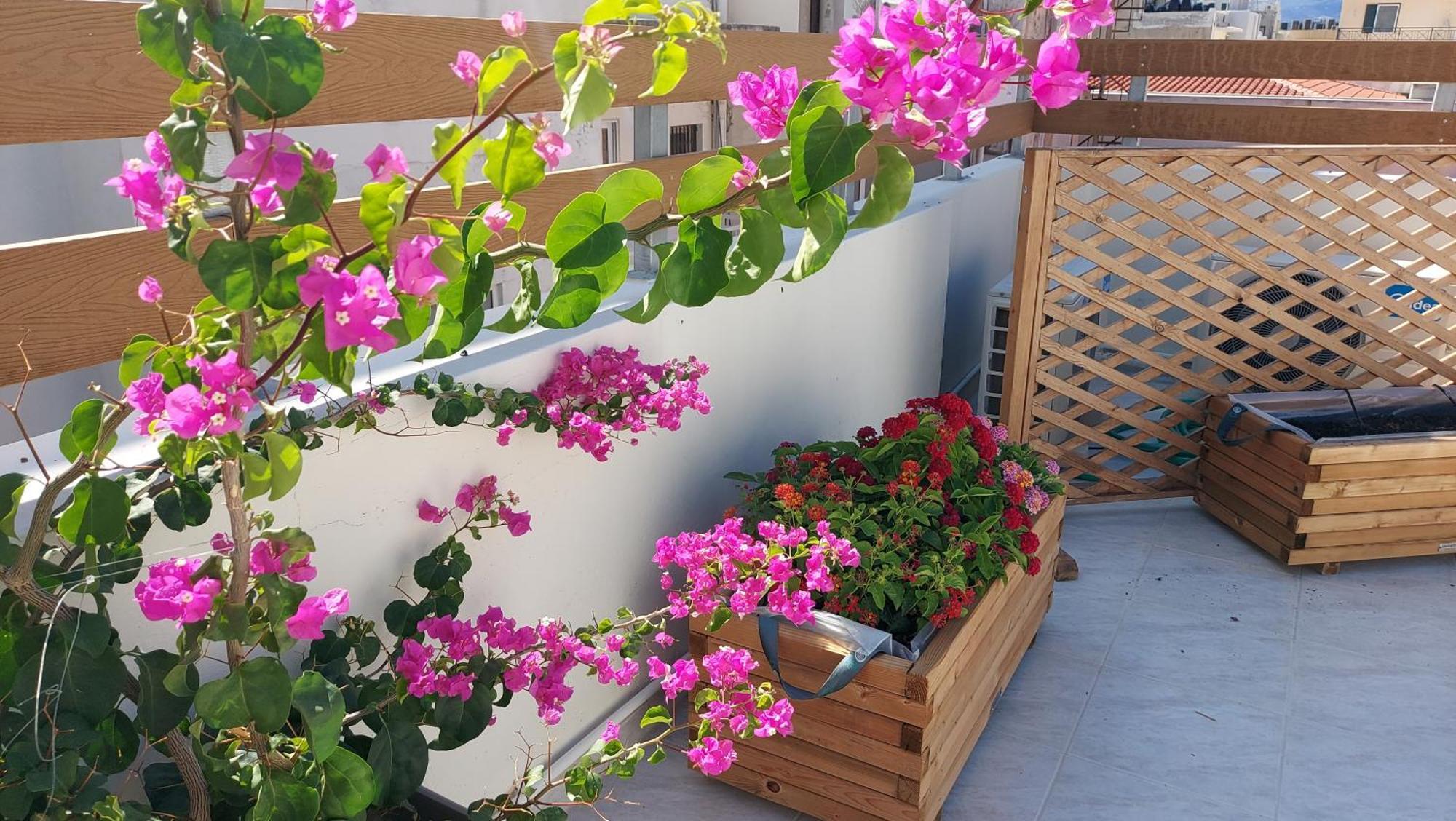 The Blue Apartment In The Heart Of Heraklion Экстерьер фото