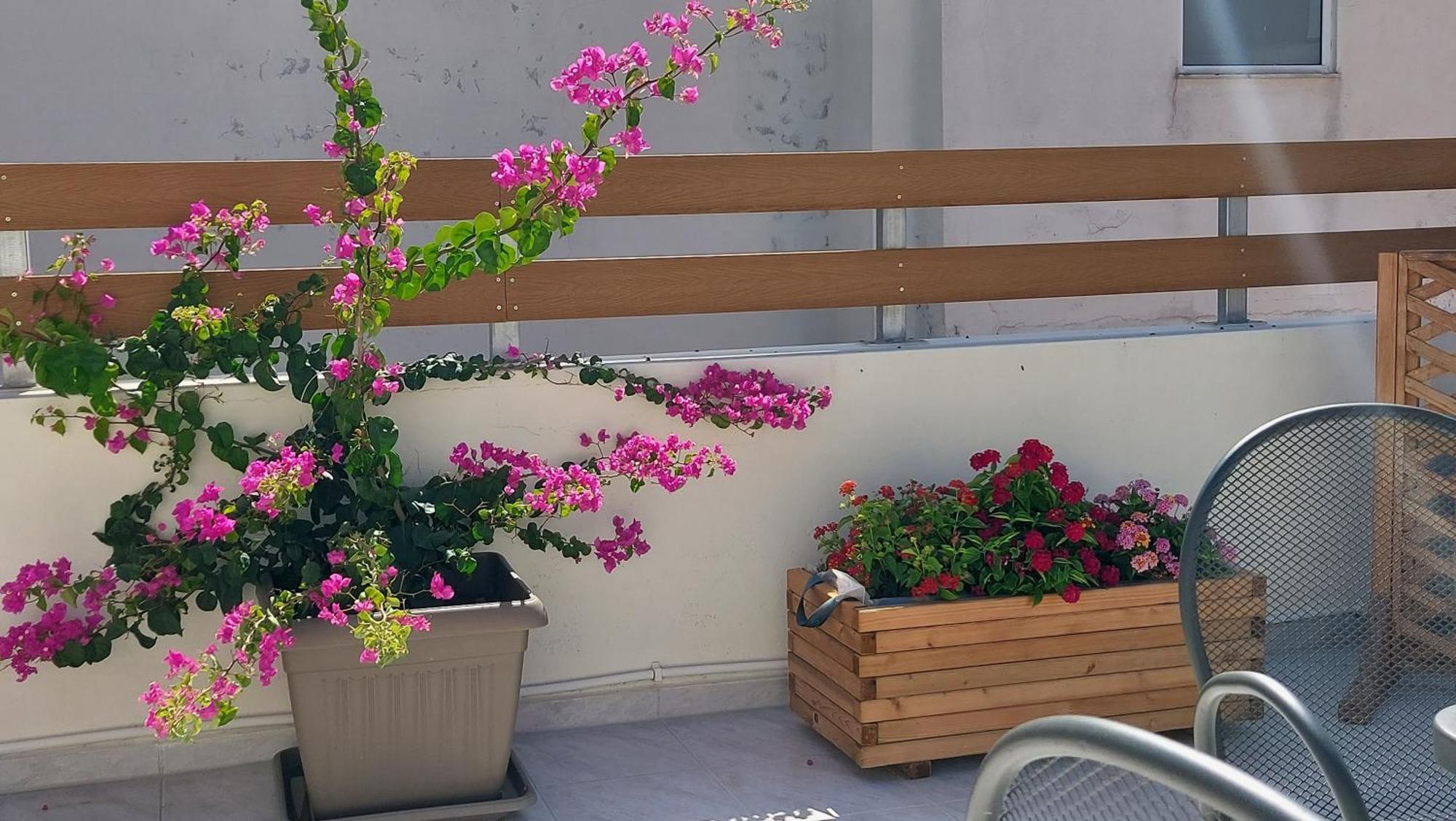 The Blue Apartment In The Heart Of Heraklion Экстерьер фото